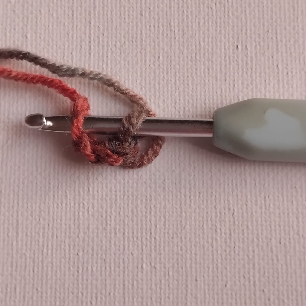 photo of a crochet hook going into the first loop of a chain